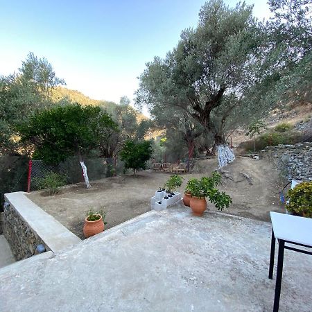 Apartamento House With Beautiful Garden In Plomari Exterior foto
